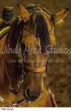 146a Horse preview
