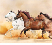 434 Horse Stampede preview