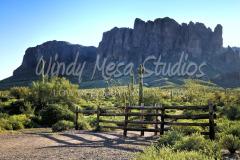 439 Superstition Mountain preview