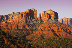 470b Cathedral Rock DP 5002828 preview