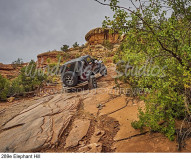 289e Elephant Hill preview