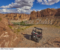 290b Poison Spider preview