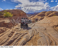 290e Poison Spider preview