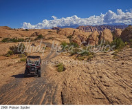 290h Poison Spider preview