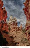 171a Navajo Loop preview