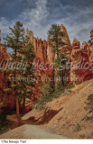 176a Navajo Trail preview