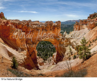 191a Natural Bridge preview