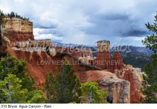 310 Bryce  Agua Canyon - Rain preview