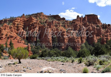 315 Casto Canyon preview