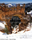 326 Bryce Canyon - Natural Bridge preview