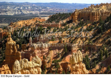 333 Bryce Canyon - Gold preview