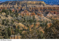 336 Bryce Canyon preview