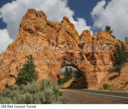 339 Red Canyon Tunnel preview