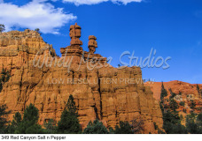 349 Red Canyon Salt n Pepper preview