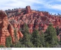 351 Red Canyon preview