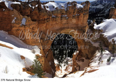 376 Natural Bridge Snow preview
