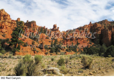 382 Red Canyon preview