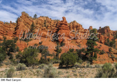 386 Red Canyon preview