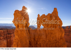 415c navajo-loop-trail preview