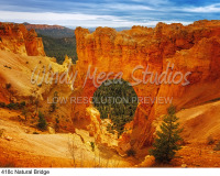 418c Natural Bridge preview