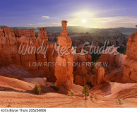 437a Bryce Thors 205254806 preview