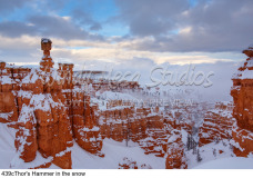 439cThor's Hammer in the snow preview