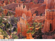 442a Bryce 208199606 preview