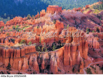 448a Bryce 205254496 preview