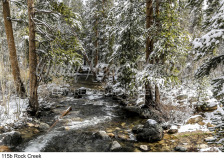 115b Rock Creek preview