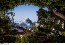 260 Yosemite preview