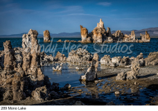289 Mono Lake preview