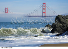 418 Golden Gate preview