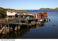 104a Durrell Fish Shanty preview