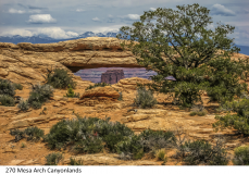 270 Mesa Arch Canyonlands
