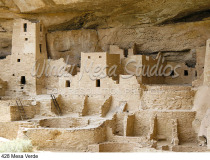 428 Mesa Verde preview