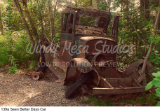 139a Seen Better Days Car preview