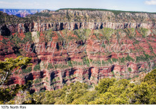 107b North Rim preview
