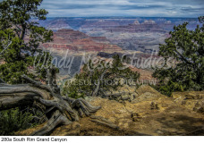 280a South Rim Grand Canyon preview