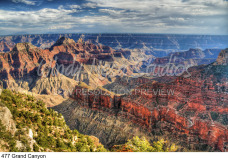 477 Grand Canyon preview