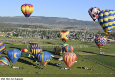 356 Hot Air Balloon preview