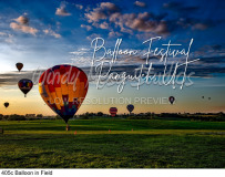 405c Balloon in Field preview