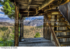 118 Bayhorse at Challis preview