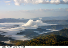 136a North Carolina Mist