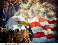 424 Eagle American Flag