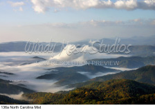 136a North Carolina Mist preview