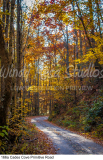 166a Cades Cove Primitive Road preview