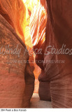 384 Peek a Boo Kanab preview