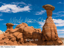 466c Toadstool Kanab preview