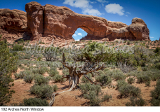 192 Arches North WIndow preview
