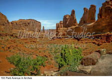 193 Park Avenue in Arches preview